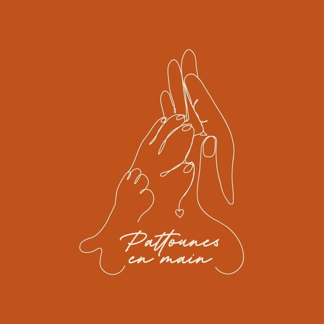 Logo de Pattounes en main