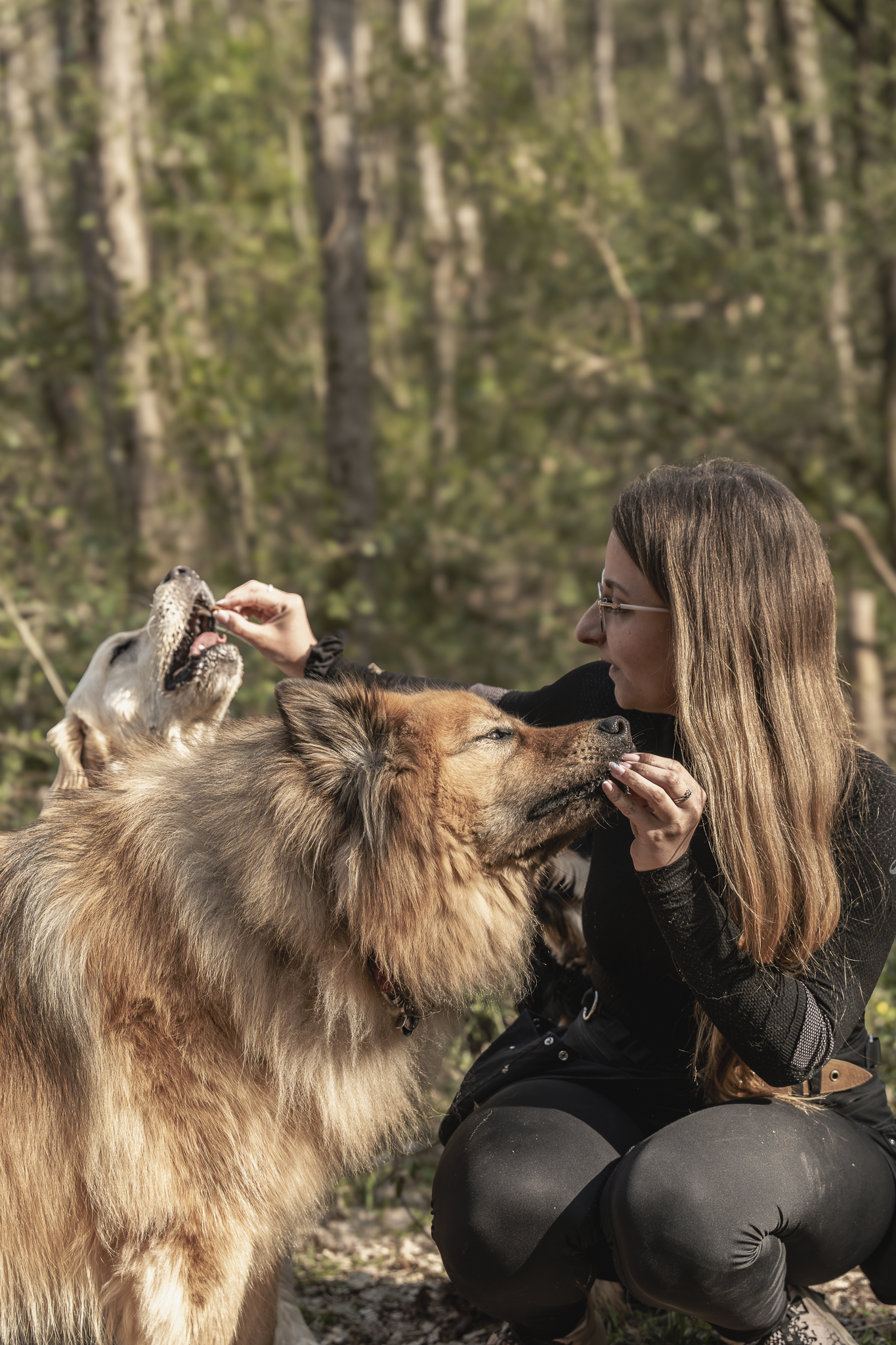 Photo avec les chiens
